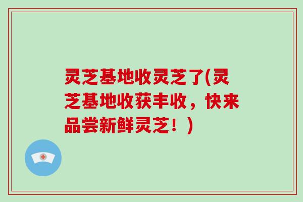 灵芝基地收灵芝了(灵芝基地收获丰收,快来品尝新鲜灵芝!)-第1张图片-破壁灵芝孢子粉研究指南 灵芝基地收灵芝了(灵芝基地收获丰收,快来品尝新鲜灵芝!)-第1张图片-破壁灵芝孢子粉研究指南