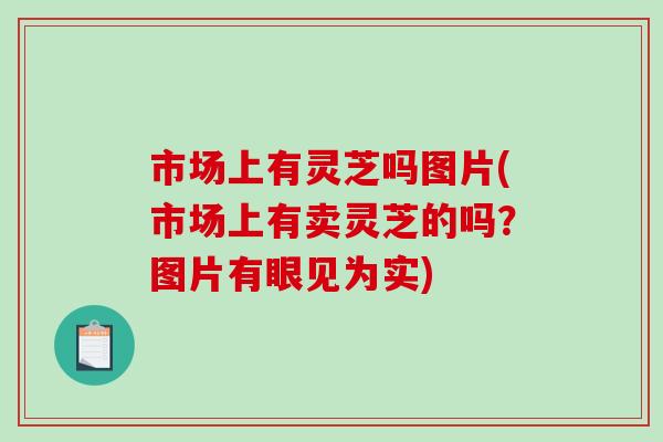 市场上有灵芝吗图片(市场上有卖灵芝的吗?图片有眼见为实)-第1张图片-破壁灵芝孢子粉研究指南 市场上有灵芝吗图片(市场上有卖灵芝的吗?图片有眼见为实)-第1张图片-破壁灵芝孢子粉研究指南