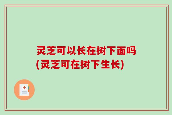 灵芝可以长在树下面吗(灵芝可在树下生长)-第1张图片-破壁灵芝孢子粉研究指南 灵芝可以长在树下面吗(灵芝可在树下生长)-第1张图片-破壁灵芝孢子粉研究指南