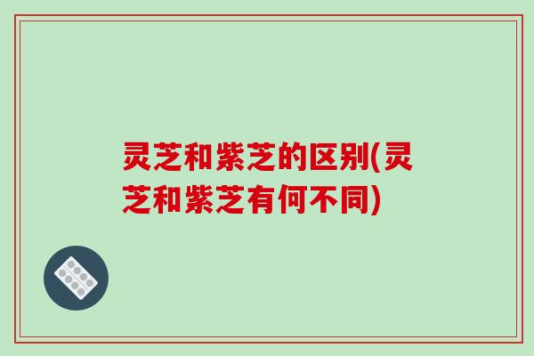 灵芝和紫芝的区别(灵芝和紫芝有何不同)-第1张图片-破壁灵芝孢子粉研究指南