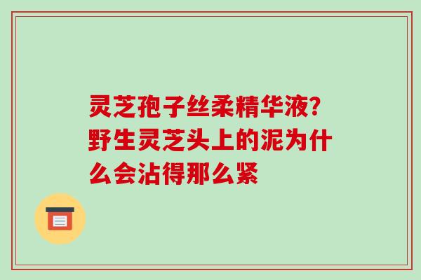灵芝孢子丝柔精华液？野生灵芝头上的泥为什么会沾得那么紧-第1张图片-破壁灵芝孢子粉研究指南