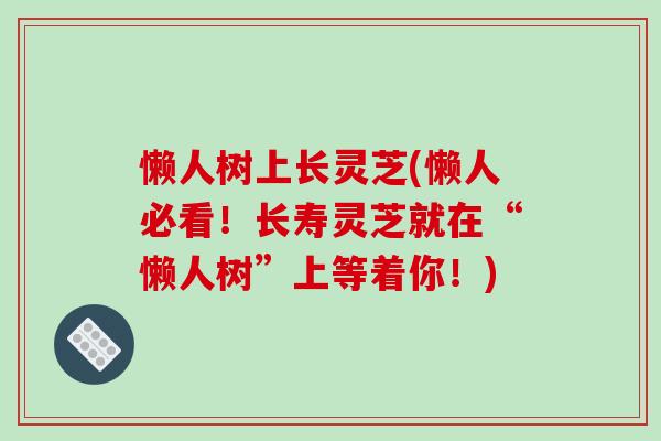 懒人树上长灵芝(懒人必看!长寿灵芝就在“懒人树”上等着你!)-第1张图片-破壁灵芝孢子粉研究指南 懒人树上长灵芝(懒人必看!长寿灵芝就在“懒人树”上等着你!)-第1张图片-破壁灵芝孢子粉研究指南