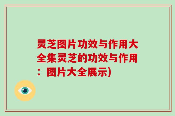 灵芝图片功效与作用大全集灵芝的功效与作用:图片大全展示)-第1张图片-破壁灵芝孢子粉研究指南 灵芝图片功效与作用大全集灵芝的功效与作用:图片大全展示)-第1张图片-破壁灵芝孢子粉研究指南