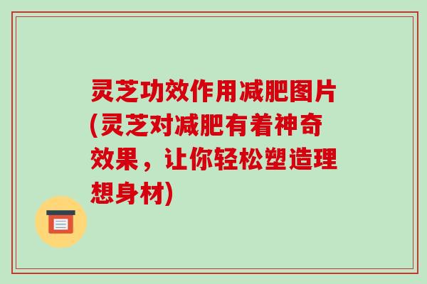 灵芝功效作用减肥图片(灵芝对减肥有着神奇效果,让你轻松塑造理想身材)-第1张图片-破壁灵芝孢子粉研究指南 灵芝功效作用减肥图片(灵芝对减肥有着神奇效果,让你轻松塑造理想身材)-第1张图片-破壁灵芝孢子粉研究指南