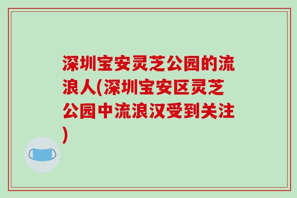 深圳宝安灵芝公园的流浪人(深圳宝安区灵芝公园中流浪汉受到关注)-第1张图片-破壁灵芝孢子粉研究指南 深圳宝安灵芝公园的流浪人(深圳宝安区灵芝公园中流浪汉受到关注)-第1张图片-破壁灵芝孢子粉研究指南