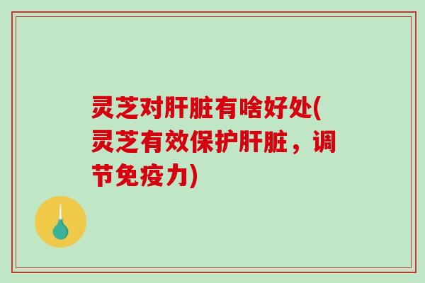灵芝对肝脏有啥好处(灵芝有效保护肝脏，调节免疫力)-第1张图片-破壁灵芝孢子粉研究指南