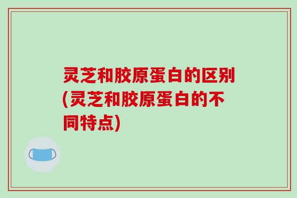 灵芝和胶原蛋白的区别(灵芝和胶原蛋白的不同特点)-第1张图片-破壁灵芝孢子粉研究指南 灵芝和胶原蛋白的区别(灵芝和胶原蛋白的不同特点)-第1张图片-破壁灵芝孢子粉研究指南