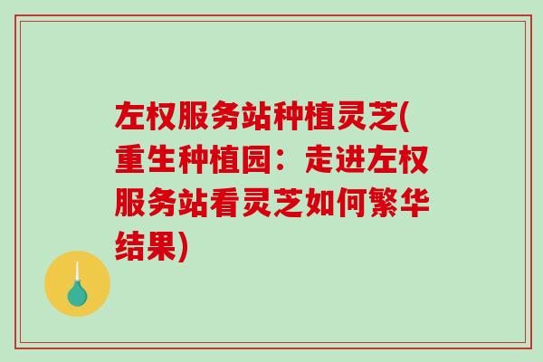 左权服务站种植灵芝(重生种植园：走进左权服务站看灵芝如何繁华结果)-第1张图片-破壁灵芝孢子粉研究指南