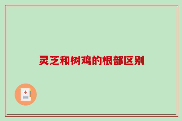 灵芝和树鸡的根部区别-第1张图片-破壁灵芝孢子粉研究指南 灵芝和树鸡的根部区别-第1张图片-破壁灵芝孢子粉研究指南