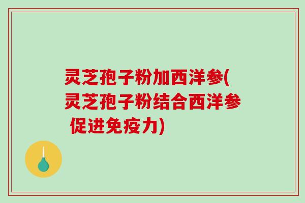 灵芝孢子粉加西洋参(灵芝孢子粉结合西洋参 促进免疫力)-第1张图片-破壁灵芝孢子粉研究指南