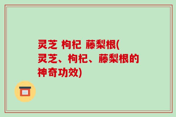 灵芝 枸杞 藤梨根(灵芝、枸杞、藤梨根的神奇功效)-第1张图片-破壁灵芝孢子粉研究指南 灵芝 枸杞 藤梨根(灵芝、枸杞、藤梨根的神奇功效)-第1张图片-破壁灵芝孢子粉研究指南