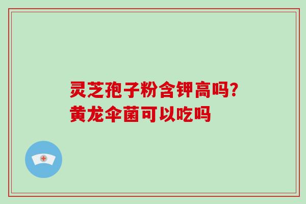 灵芝孢子粉含钾高吗?黄龙伞菌可以吃吗-第1张图片-破壁灵芝孢子粉研究指南 灵芝孢子粉含钾高吗?黄龙伞菌可以吃吗-第1张图片-破壁灵芝孢子粉研究指南
