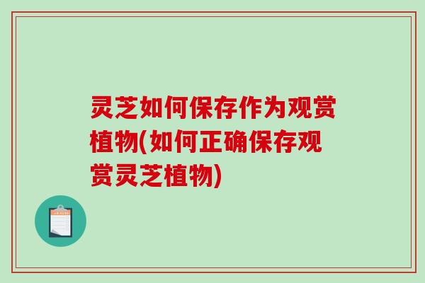 灵芝如何保存作为观赏植物(如何正确保存观赏灵芝植物)-第1张图片-破壁灵芝孢子粉研究指南 灵芝如何保存作为观赏植物(如何正确保存观赏灵芝植物)-第1张图片-破壁灵芝孢子粉研究指南