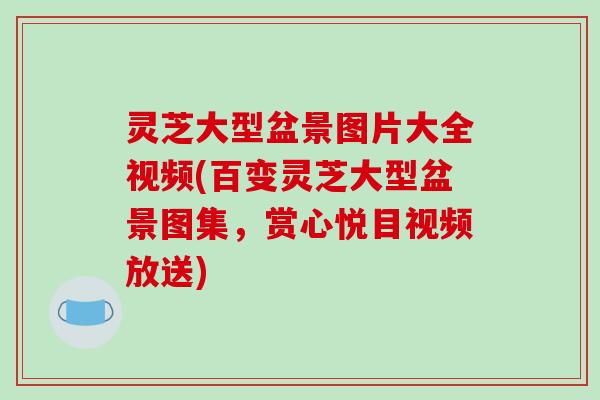 灵芝大型盆景图片大全视频(百变灵芝大型盆景图集,赏心悦目视频放送)-第1张图片-破壁灵芝孢子粉研究指南 灵芝大型盆景图片大全视频(百变灵芝大型盆景图集,赏心悦目视频放送)-第1张图片-破壁灵芝孢子粉研究指南
