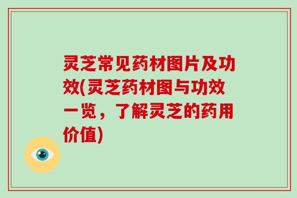 灵芝常见药材图片及功效(灵芝药材图与功效一览,了解灵芝的药用价值)-第1张图片-破壁灵芝孢子粉研究指南 灵芝常见药材图片及功效(灵芝药材图与功效一览,了解灵芝的药用价值)-第1张图片-破壁灵芝孢子粉研究指南