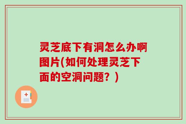 灵芝底下有洞怎么办啊图片(如何处理灵芝下面的空洞问题?)-第1张图片-破壁灵芝孢子粉研究指南 灵芝底下有洞怎么办啊图片(如何处理灵芝下面的空洞问题?)-第1张图片-破壁灵芝孢子粉研究指南