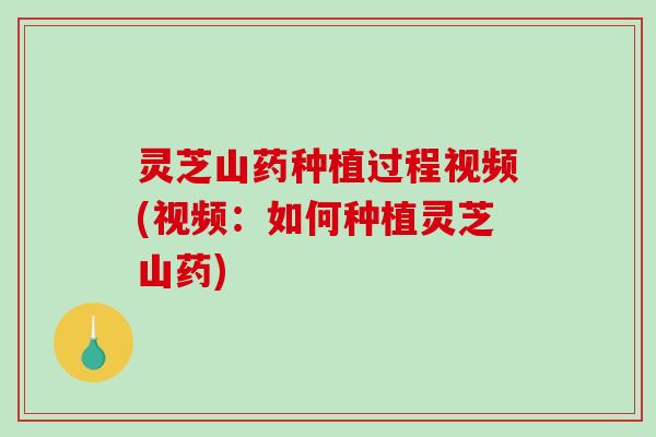 灵芝山药种植过程视频(视频：如何种植灵芝山药)-第1张图片-破壁灵芝孢子粉研究指南