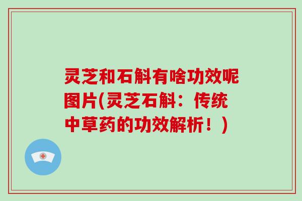 灵芝和石斛有啥功效呢图片(灵芝石斛:传统中草药的功效解析!)-第1张图片-破壁灵芝孢子粉研究指南 灵芝和石斛有啥功效呢图片(灵芝石斛:传统中草药的功效解析!)-第1张图片-破壁灵芝孢子粉研究指南
