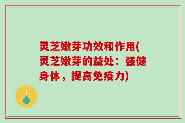 灵芝嫩芽功效和作用(灵芝嫩芽的益处:强健身体,提高免疫力)-第1张图片-破壁灵芝孢子粉研究指南 灵芝嫩芽功效和作用(灵芝嫩芽的益处:强健身体,提高免疫力)-第1张图片-破壁灵芝孢子粉研究指南