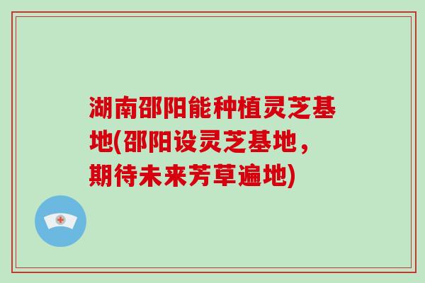 湖南邵阳能种植灵芝基地(邵阳设灵芝基地,期待未来芳草遍地)-第1张图片-破壁灵芝孢子粉研究指南 湖南邵阳能种植灵芝基地(邵阳设灵芝基地,期待未来芳草遍地)-第1张图片-破壁灵芝孢子粉研究指南