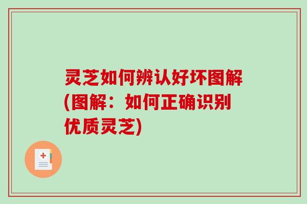 灵芝如何辨认好坏图解(图解:如何正确识别优质灵芝)-第1张图片-破壁灵芝孢子粉研究指南 灵芝如何辨认好坏图解(图解:如何正确识别优质灵芝)-第1张图片-破壁灵芝孢子粉研究指南