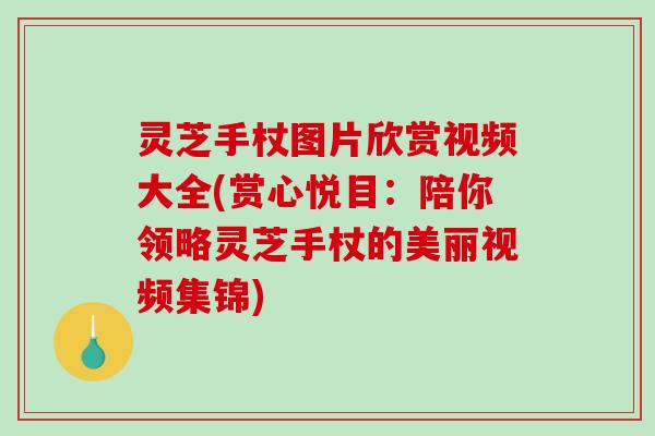 灵芝手杖图片欣赏视频大全(赏心悦目:陪你领略灵芝手杖的美丽视频集锦)-第1张图片-破壁灵芝孢子粉研究指南 灵芝手杖图片欣赏视频大全(赏心悦目:陪你领略灵芝手杖的美丽视频集锦)-第1张图片-破壁灵芝孢子粉研究指南
