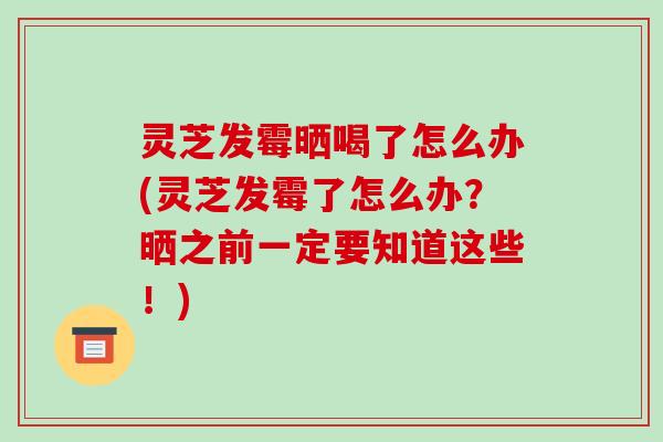 灵芝发霉晒喝了怎么办(灵芝发霉了怎么办?晒之前一定要知道这些!)-第1张图片-破壁灵芝孢子粉研究指南 灵芝发霉晒喝了怎么办(灵芝发霉了怎么办?晒之前一定要知道这些!)-第1张图片-破壁灵芝孢子粉研究指南