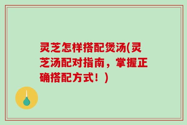 灵芝怎样搭配煲汤(灵芝汤配对指南,掌握正确搭配方式!)-第1张图片-破壁灵芝孢子粉研究指南 灵芝怎样搭配煲汤(灵芝汤配对指南,掌握正确搭配方式!)-第1张图片-破壁灵芝孢子粉研究指南