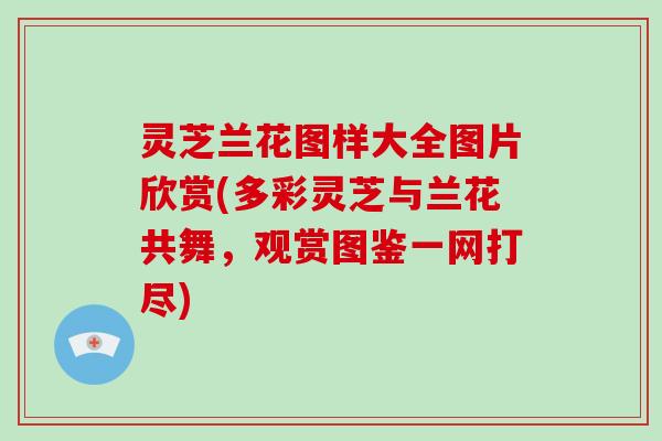 灵芝兰花图样大全图片欣赏(多彩灵芝与兰花共舞,观赏图鉴一网打尽)-第1张图片-破壁灵芝孢子粉研究指南 灵芝兰花图样大全图片欣赏(多彩灵芝与兰花共舞,观赏图鉴一网打尽)-第1张图片-破壁灵芝孢子粉研究指南