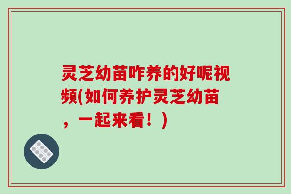 灵芝幼苗咋养的好呢视频(如何养护灵芝幼苗,一起来看!)-第1张图片-破壁灵芝孢子粉研究指南 灵芝幼苗咋养的好呢视频(如何养护灵芝幼苗,一起来看!)-第1张图片-破壁灵芝孢子粉研究指南