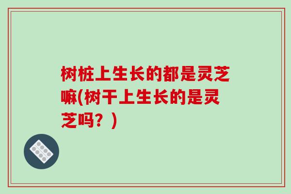 树桩上生长的都是灵芝嘛(树干上生长的是灵芝吗？)-第1张图片-破壁灵芝孢子粉研究指南