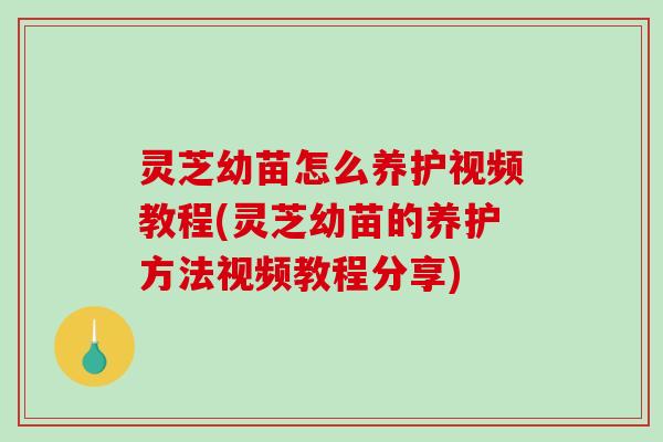 灵芝幼苗怎么养护视频教程(灵芝幼苗的养护方法视频教程分享)-第1张图片-破壁灵芝孢子粉研究指南 灵芝幼苗怎么养护视频教程(灵芝幼苗的养护方法视频教程分享)-第1张图片-破壁灵芝孢子粉研究指南