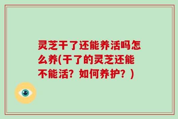 灵芝干了还能养活吗怎么养(干了的灵芝还能不能活?如何养护?)-第1张图片-破壁灵芝孢子粉研究指南 灵芝干了还能养活吗怎么养(干了的灵芝还能不能活?如何养护?)-第1张图片-破壁灵芝孢子粉研究指南