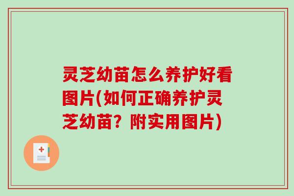 灵芝幼苗怎么养护好看图片(如何正确养护灵芝幼苗？附实用图片)-第1张图片-破壁灵芝孢子粉研究指南