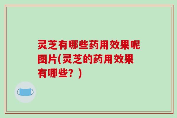 灵芝有哪些药用效果呢图片(灵芝的药用效果有哪些？)-第1张图片-破壁灵芝孢子粉研究指南