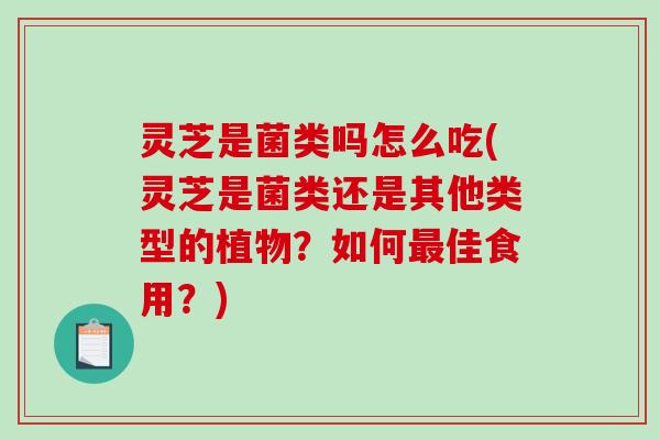 灵芝是菌类吗怎么吃(灵芝是菌类还是其他类型的植物?如何最佳食用?)-第1张图片-破壁灵芝孢子粉研究指南 灵芝是菌类吗怎么吃(灵芝是菌类还是其他类型的植物?如何最佳食用?)-第1张图片-破壁灵芝孢子粉研究指南