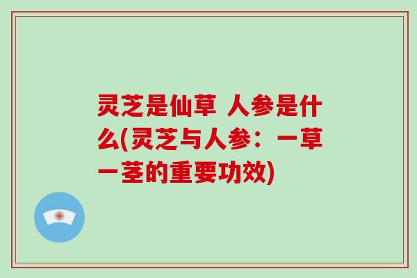 灵芝是仙草 人参是什么(灵芝与人参:一草一茎的重要功效)-第1张图片-破壁灵芝孢子粉研究指南 灵芝是仙草 人参是什么(灵芝与人参:一草一茎的重要功效)-第1张图片-破壁灵芝孢子粉研究指南