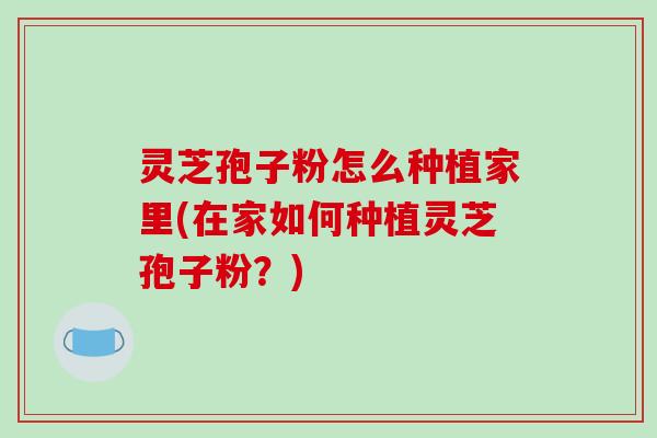灵芝孢子粉怎么种植家里(在家如何种植灵芝孢子粉?)-第1张图片-破壁灵芝孢子粉研究指南 灵芝孢子粉怎么种植家里(在家如何种植灵芝孢子粉?)-第1张图片-破壁灵芝孢子粉研究指南