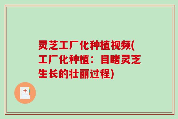 灵芝工厂化种植视频(工厂化种植:目睹灵芝生长的壮丽过程)-第1张图片-破壁灵芝孢子粉研究指南 灵芝工厂化种植视频(工厂化种植:目睹灵芝生长的壮丽过程)-第1张图片-破壁灵芝孢子粉研究指南