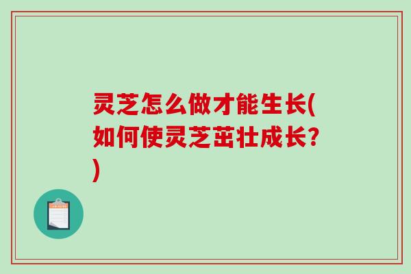 灵芝怎么做才能生长(如何使灵芝茁壮成长？)-第1张图片-破壁灵芝孢子粉研究指南