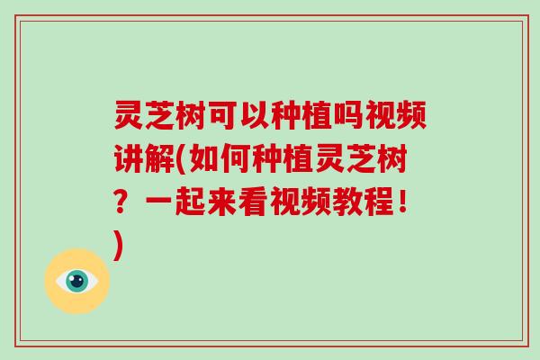 灵芝树可以种植吗视频讲解(如何种植灵芝树?一起来看视频教程!)-第1张图片-破壁灵芝孢子粉研究指南 灵芝树可以种植吗视频讲解(如何种植灵芝树?一起来看视频教程!)-第1张图片-破壁灵芝孢子粉研究指南