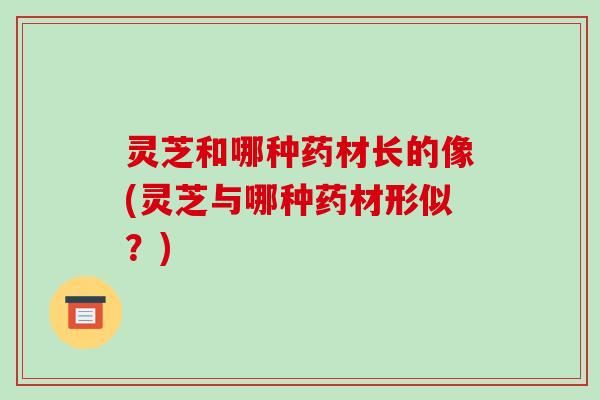 灵芝和哪种药材长的像(灵芝与哪种药材形似？)-第1张图片-破壁灵芝孢子粉研究指南