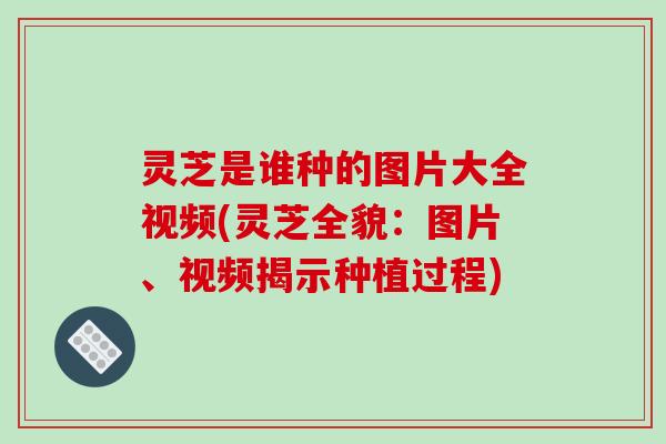 灵芝是谁种的图片大全视频(灵芝全貌:图片、视频揭示种植过程)-第1张图片-破壁灵芝孢子粉研究指南 灵芝是谁种的图片大全视频(灵芝全貌:图片、视频揭示种植过程)-第1张图片-破壁灵芝孢子粉研究指南