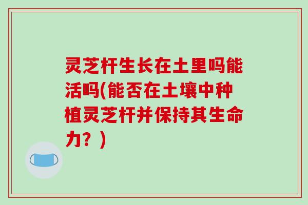 灵芝杆生长在土里吗能活吗(能否在土壤中种植灵芝杆并保持其生命力?)-第1张图片-破壁灵芝孢子粉研究指南 灵芝杆生长在土里吗能活吗(能否在土壤中种植灵芝杆并保持其生命力?)-第1张图片-破壁灵芝孢子粉研究指南