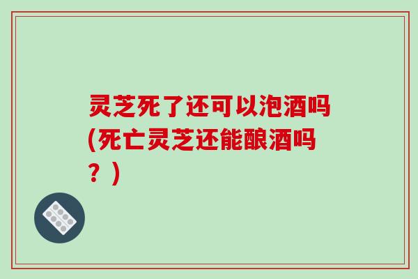 灵芝死了还可以泡酒吗(死亡灵芝还能酿酒吗?)-第1张图片-破壁灵芝孢子粉研究指南 灵芝死了还可以泡酒吗(死亡灵芝还能酿酒吗?)-第1张图片-破壁灵芝孢子粉研究指南