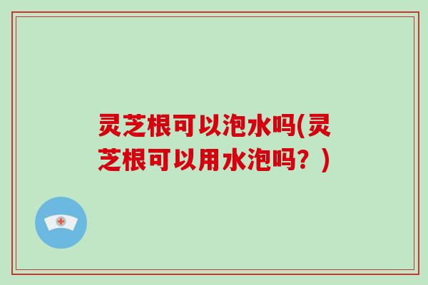 灵芝根可以泡水吗(灵芝根可以用水泡吗?)-第1张图片-破壁灵芝孢子粉研究指南 灵芝根可以泡水吗(灵芝根可以用水泡吗?)-第1张图片-破壁灵芝孢子粉研究指南