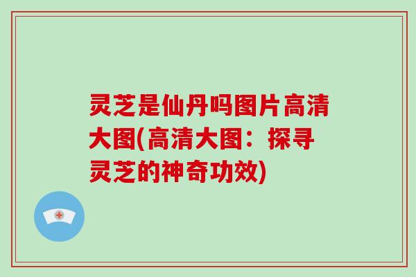 灵芝是仙丹吗图片高清大图(高清大图:探寻灵芝的神奇功效)-第1张图片-破壁灵芝孢子粉研究指南 灵芝是仙丹吗图片高清大图(高清大图:探寻灵芝的神奇功效)-第1张图片-破壁灵芝孢子粉研究指南