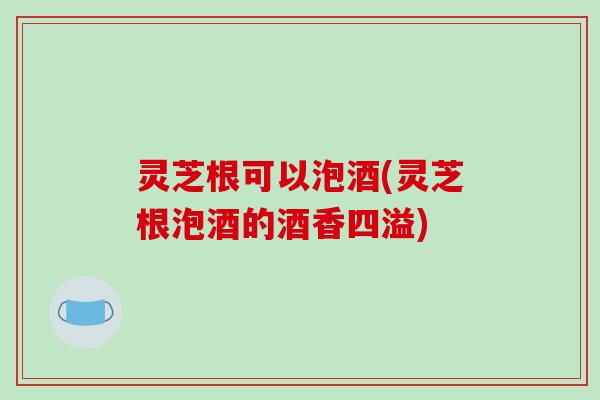 灵芝根可以泡酒(灵芝根泡酒的酒香四溢)-第1张图片-破壁灵芝孢子粉研究指南 灵芝根可以泡酒(灵芝根泡酒的酒香四溢)-第1张图片-破壁灵芝孢子粉研究指南