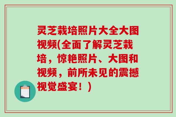 灵芝栽培照片大全大图视频(全面了解灵芝栽培，惊艳照片、大图和视频，前所未见的震撼视觉盛宴！)-第1张图片-破壁灵芝孢子粉研究指南