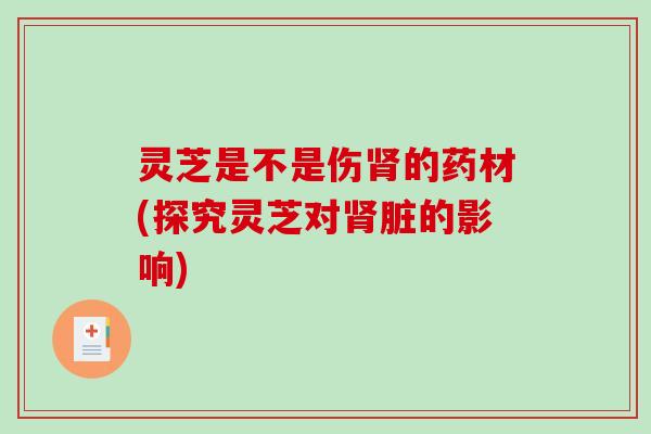 灵芝是不是伤肾的药材(探究灵芝对肾脏的影响)-第1张图片-破壁灵芝孢子粉研究指南 灵芝是不是伤肾的药材(探究灵芝对肾脏的影响)-第1张图片-破壁灵芝孢子粉研究指南